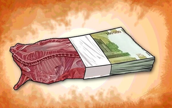 یارانه ۳۰۰ هزار تومانی گوشت در راه است؟