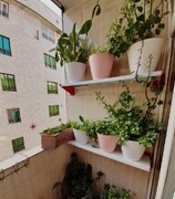 اجرای پویش ایوان‌های زیبای ما در محلات منطقه ۱۹