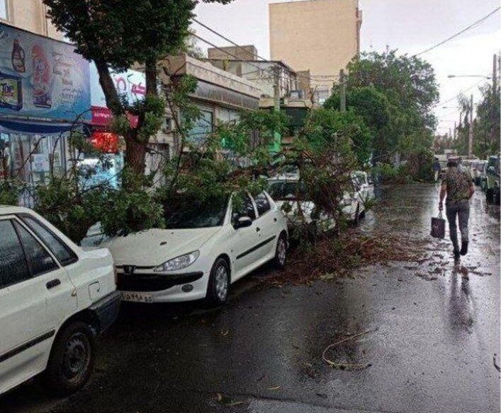 در پی طوفان امروز تاکنون تنها یک مورد سقوط درخت گزارش شده است