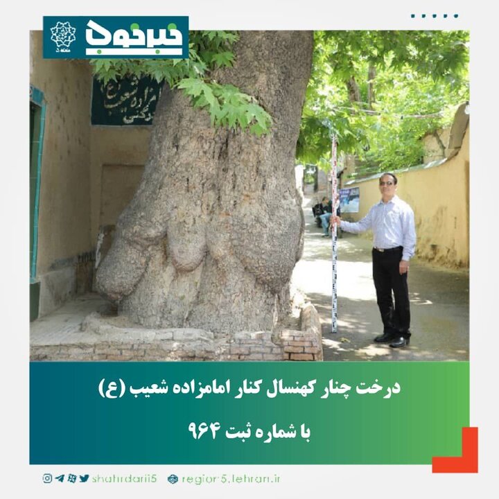 ثبت سه اثر طبیعی و ناملموس منطقه ۵ در فهرست ملی