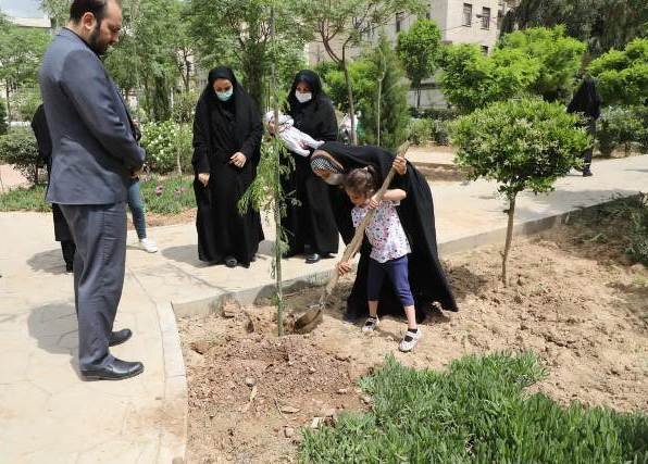 تولد هر نوزاد، تولد یک درخت در منطقه ۱۳ است