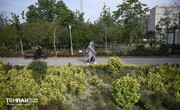 تعداد بوستان‌های هر منطقه از تهران به تفکیک