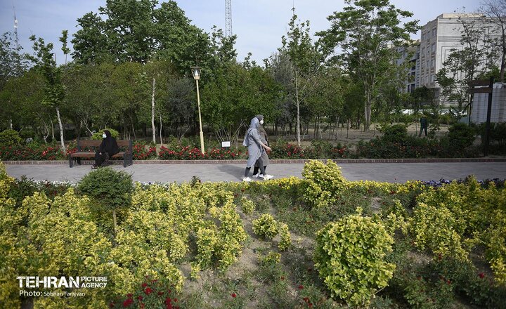 تعداد بوستان‌های هر منطقه از تهران به تفکیک/ چند بوستان عمومی تا پایان سال در پایتخت احداث می شود؟