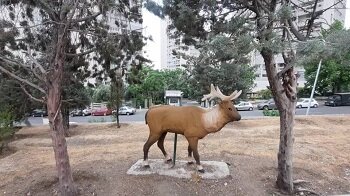 جانمایی مجسمه حیوانات در حال انقراض در خیابان لبخند منطقه ۲