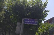 تغییر نام ۴ معبر تهران به نام شهدای زن