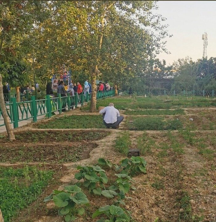 اختصاص باغچه در یکی از بوستان‌های تهران برای سبزی‌کاری شهروندان | ایجاد حال خوب هزینه نمی‌خواهد