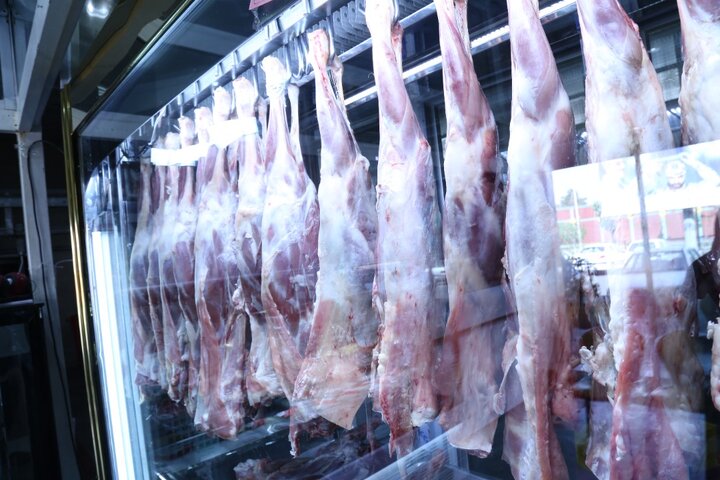 قیمت انواع گوشت منجمد در میادین میوه و تره بار تهران اعلام شد 
