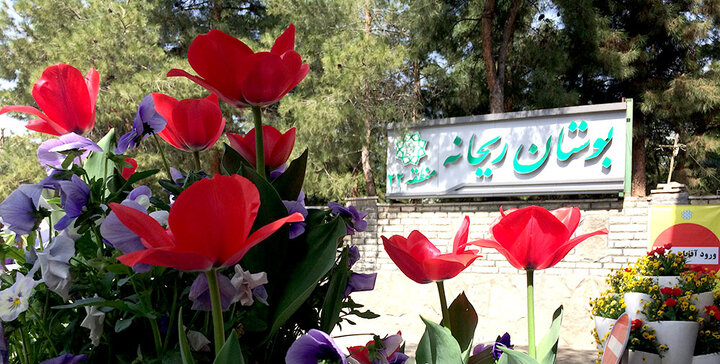 آغاز جشنواره ورزشی، فراغتی و تفریحی ویژه بانوان در منطقه ۲۲