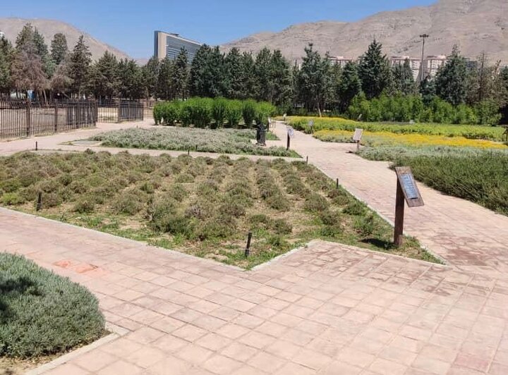 استقبال شهروندان از بوستان سمن‌ها/فعالیت باغ‌وحش رایگان در غرب تهران