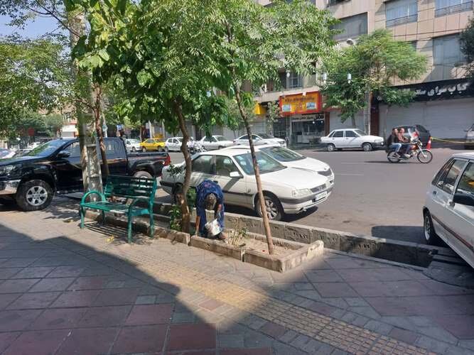 اجرای طرح ضربتی مبارزه با جانوران مضر شهری در منطقه ۱۰/ طعمهگذاری حدود ۵۰۰ منفذ در نواحی سهگانه