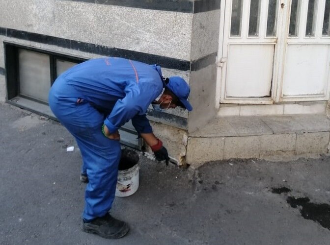 اجرای طرح ضربتی مبارزه با جانوران مضر شهری در منطقه ۱۰/ طعمهگذاری حدود ۵۰۰ منفذ در نواحی سهگانه