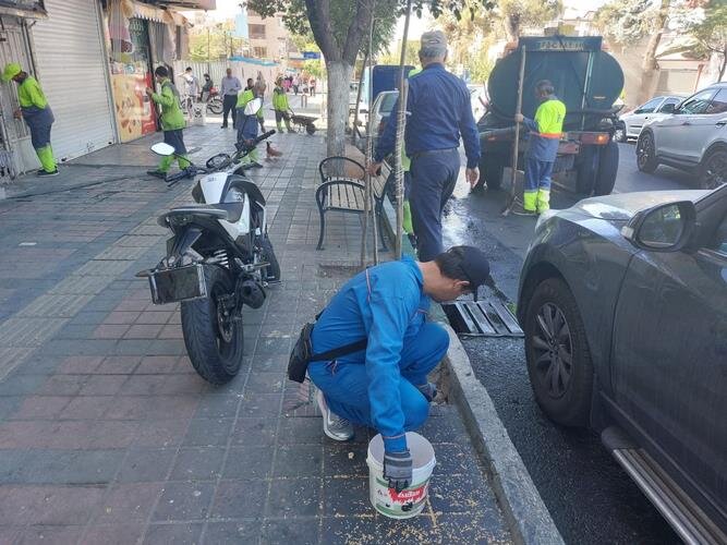 اجرای طرح ضربتی مبارزه با جانوران مضر شهری در منطقه ۱۰/ طعمهگذاری حدود ۵۰۰ منفذ در نواحی سهگانه
