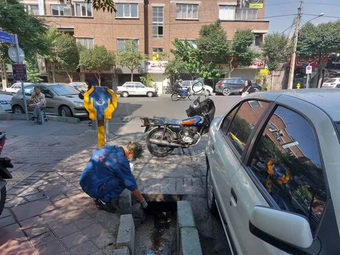 اجرای طرح ضربتی مبارزه با جانوران مضر شهری در منطقه ۱۰/ طعمهگذاری حدود ۵۰۰ منفذ در نواحی سهگانه