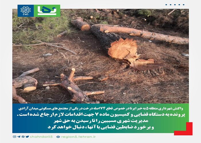 واکنش شهرداری منطقه ۵ به خبر قطع ۷۴ اصله درخت 