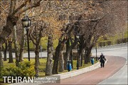 تهران‌نما؛ پارک ملت