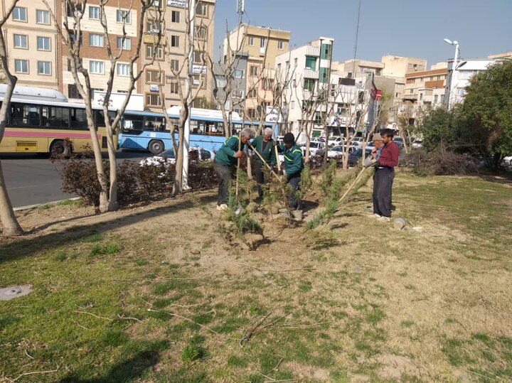 گسترش فضای سبز جنوب پایتخت باکاشت هزار اصله درخت 