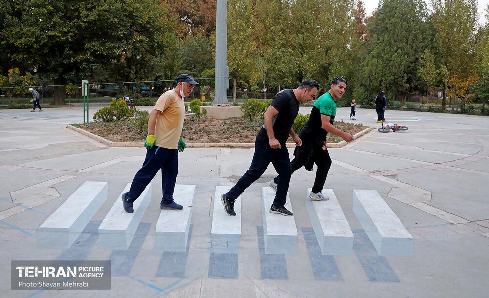 اکران نقش و نگارههای سهبعدی در میدانگاه بوستان ۵۰ هکتاری قائم