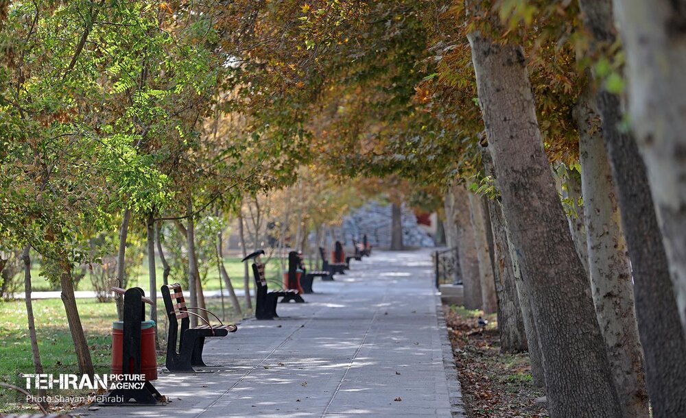 اکران نقش و نگارههای سهبعدی در میدانگاه بوستان ۵۰ هکتاری قائم