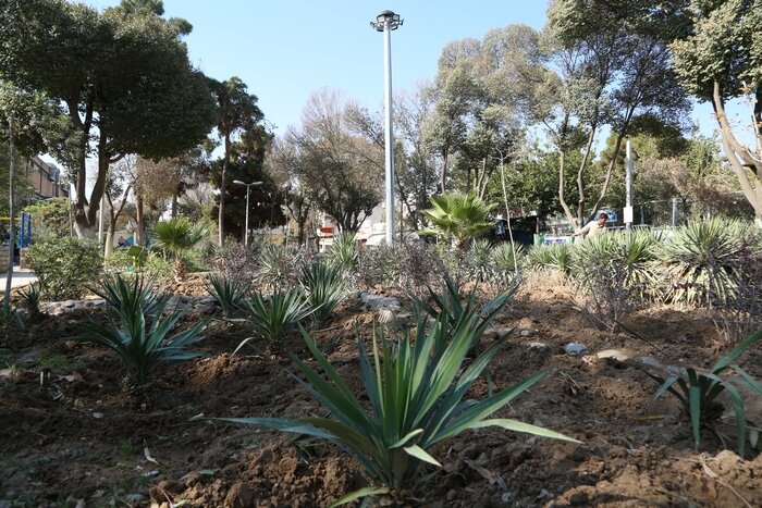 مشکل خاموشی بوستانهای منطقه ۱۰ رفع شد/ تجهیز پارکها به پایههای برج نوری