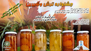 جشنواره پاییزی "ترش و شیرین" در منطقه ۹ برگزار می‌شود