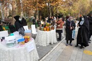 استقبال شهروندان منطقه ۹ از جشنواره پاییزی "ترش و شیرین" 
