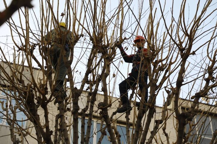 ارائه ده‌ها خدمت در خیابان پیروزی در قالب طرح نگهداشت شهر