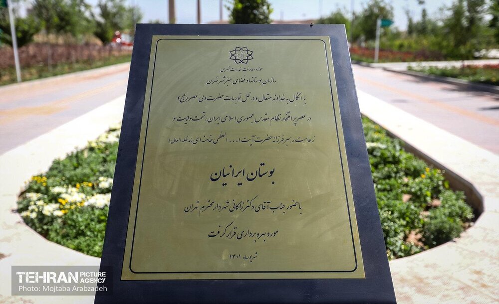 بیست شنبه امید و افتخار در یک قاب