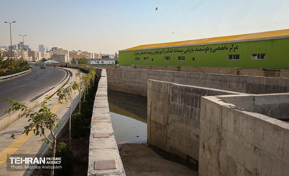 بیست شنبه امید و افتخار در یک قاب