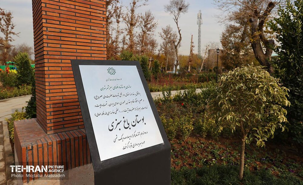 بیست شنبه امید و افتخار در یک قاب