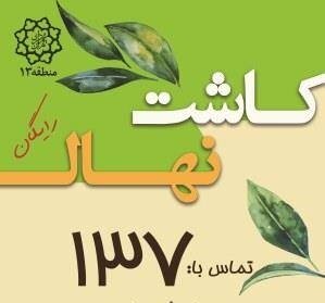 آغاز نهضت درختکاری در منطقه ۱۳