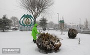 آغاز درخت تکانی و یخ زدایی از معابر شیب دار تهران