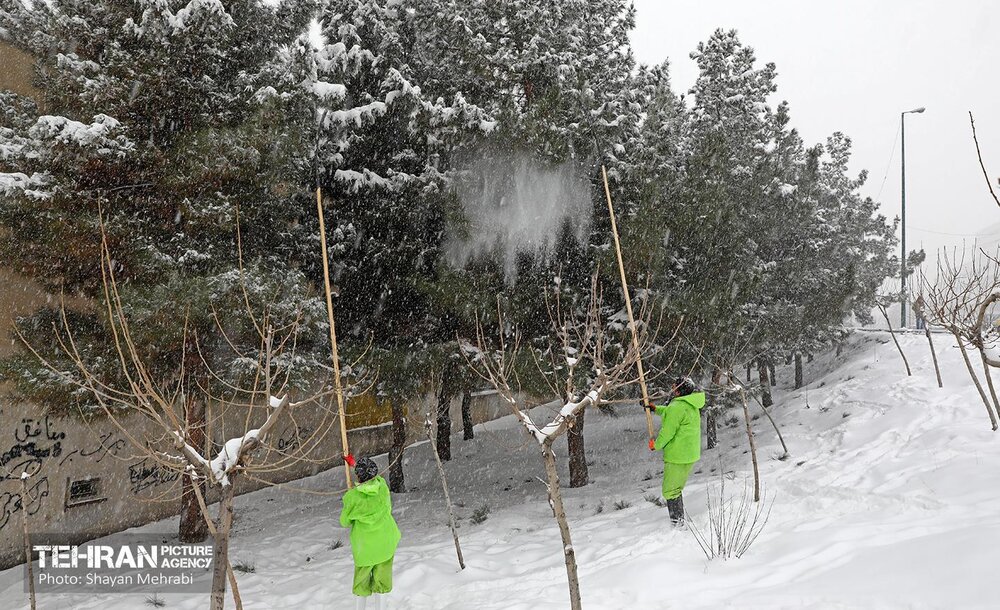 اقدامات شهرداری تهران به منظور تسهیل تردد در معابر شمالی و غربی پایتخت