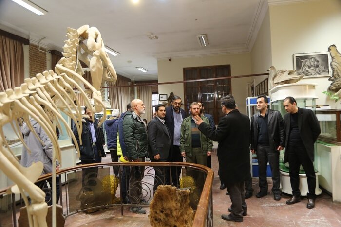 مجوز تامین ۳ هزار پارکینگ در منطقه ۱۰ را تا پایان سال اخذ میکنیم