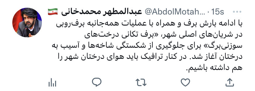 برف تکانی درختهای سوزنیبرگ با هدف حفظ درختان پایتخت از آسیب