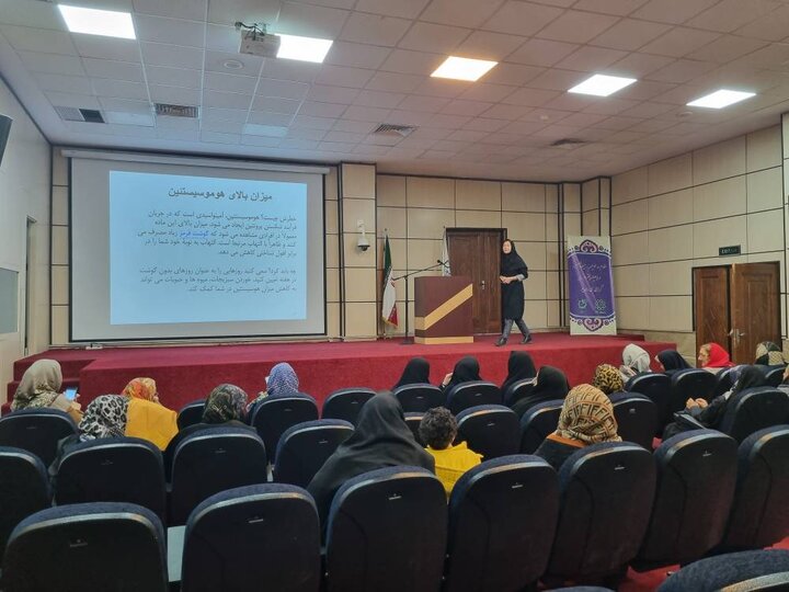برگزاری رویداد" سالم پیر شویم" به میزبانی منطقه ۱۳ 