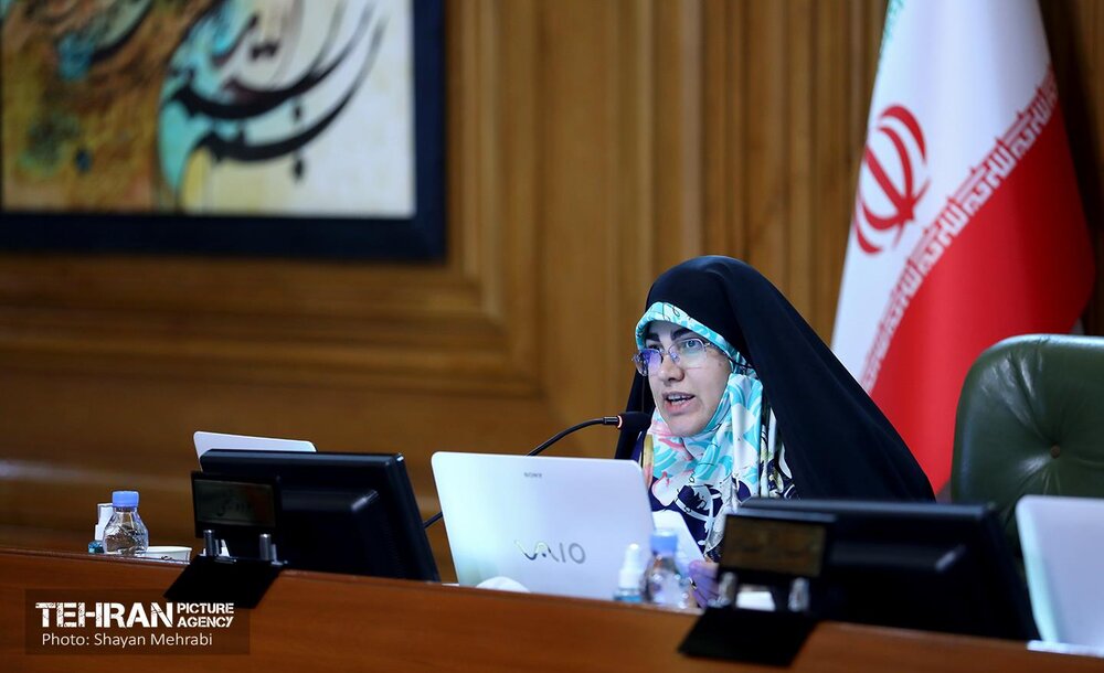 اظهارنظر اعضای شورا در پی استماع گزارش مدیرعامل سازمان آتشنشانی