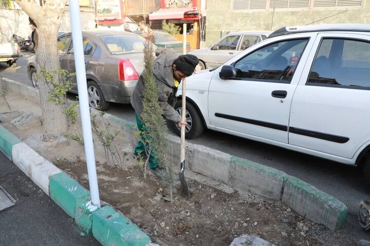 اجرای طرح بهاران خدمت در خیابان پیروزی