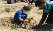 کاشت درخت ایثار در بوستان فدک منطقه۸