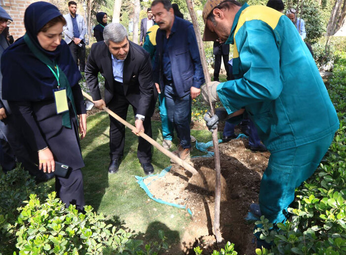  کاشت ۵۳۹ نهال در هر یک از بوستان‌های زندگی و پارک‌شهر به یاد شهدای قلب طهران