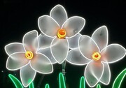 نصب المان حجمی گل نرگس در بلوار سعادت آباد