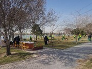 از اجرای طرح "یک عالمه درخت" تا کاشت ۲ هزاردرخت به یاد  شهدای منطقه ۱۵
