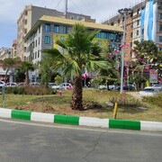 کاشت درختان ۲۰ ساله در میدان کمال‌الملک منطقه ۲۱
