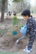 پویش درختکاری" یک عالمه درخت" در منطقه ۴ تهران