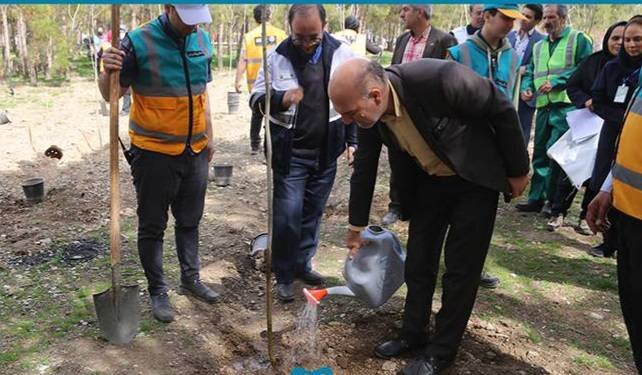 بوستان خرگوش دره سرسبز تر می شود