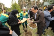 نوزادان تهرانی صاحب درخت شدند