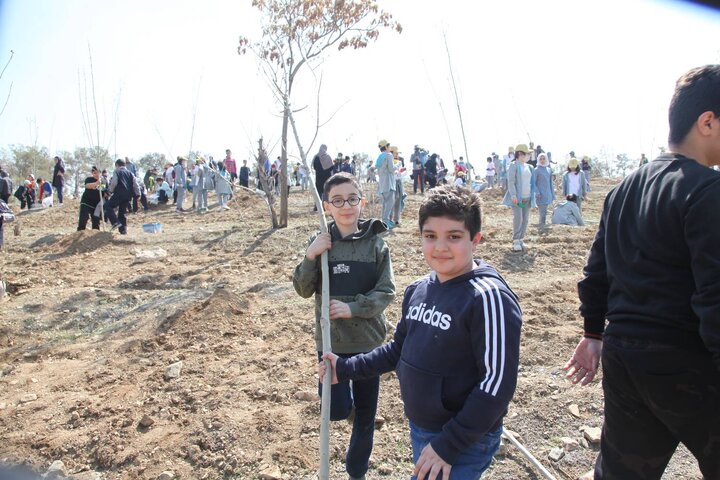 کاشت درخت در بوستان سمن‌ها