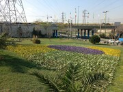 منظر شهری منطقه ۲۰ به بیش از ۶ هزار مترمربع فرش گل رنگارنگ مزین شد