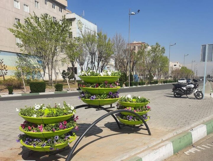 کاشت ۱۲ هزار گل میمون و اطلسی رنگارنگ در گلجای‌های منطقه۱۴