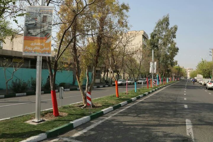 رخت نوروزی بر تن درختان منطقه 19 پوشیده شد