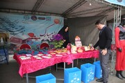 توزیع ۳ هزار بسته گردشگری به مسافران نوروزی باب الرضای تهران